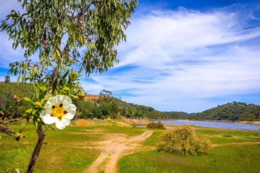 Nova De Santa Susana -