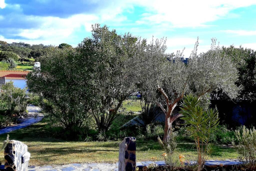 Nova De Santa Susana - Chalet