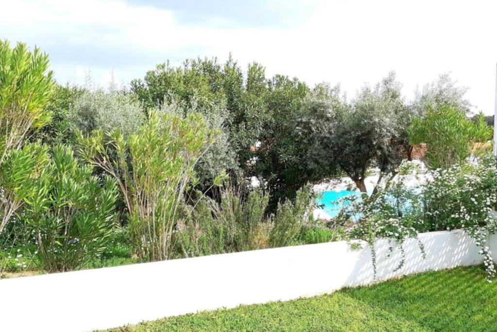 Chalet Nova De Santa Susana - *