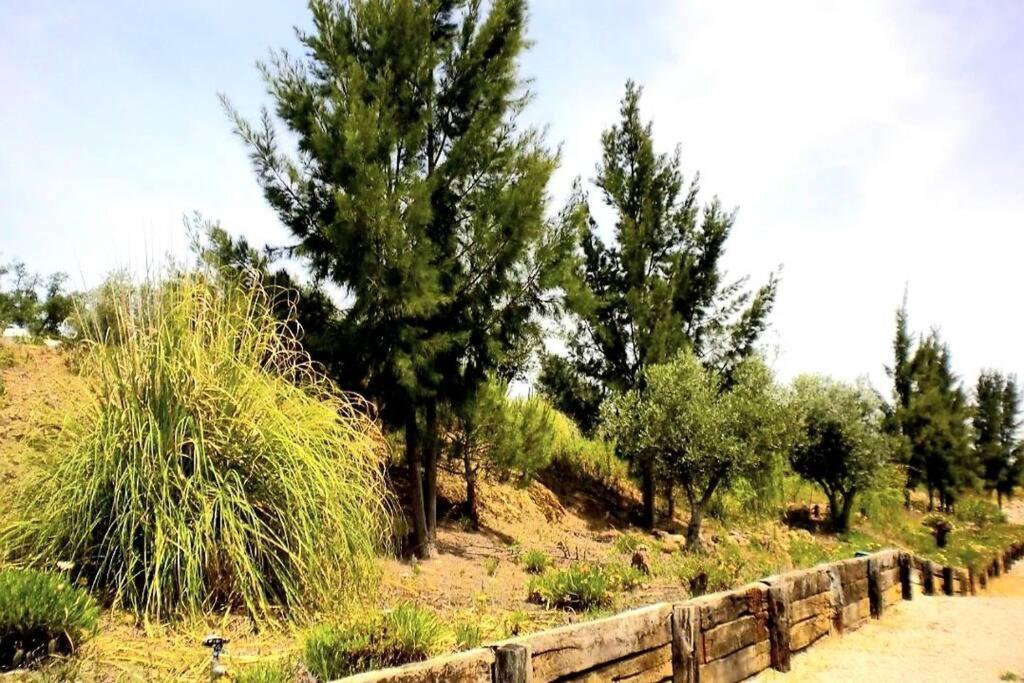 Chalet Nova De Santa Susana -